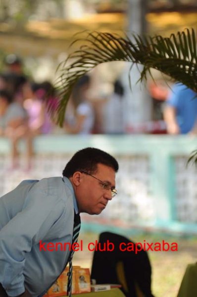 Clique sobre a foto para fechar